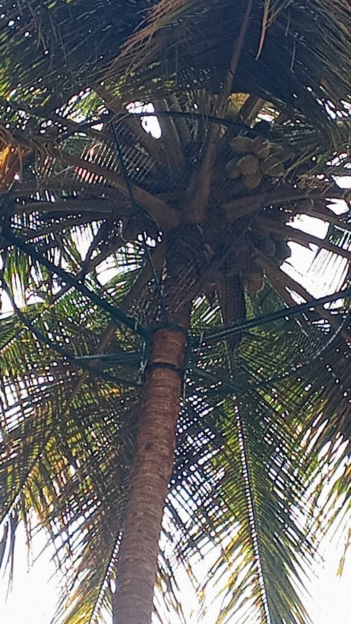 WhatsApp Image 2026-01-14 at 10.22.37 AM (2) - Copy